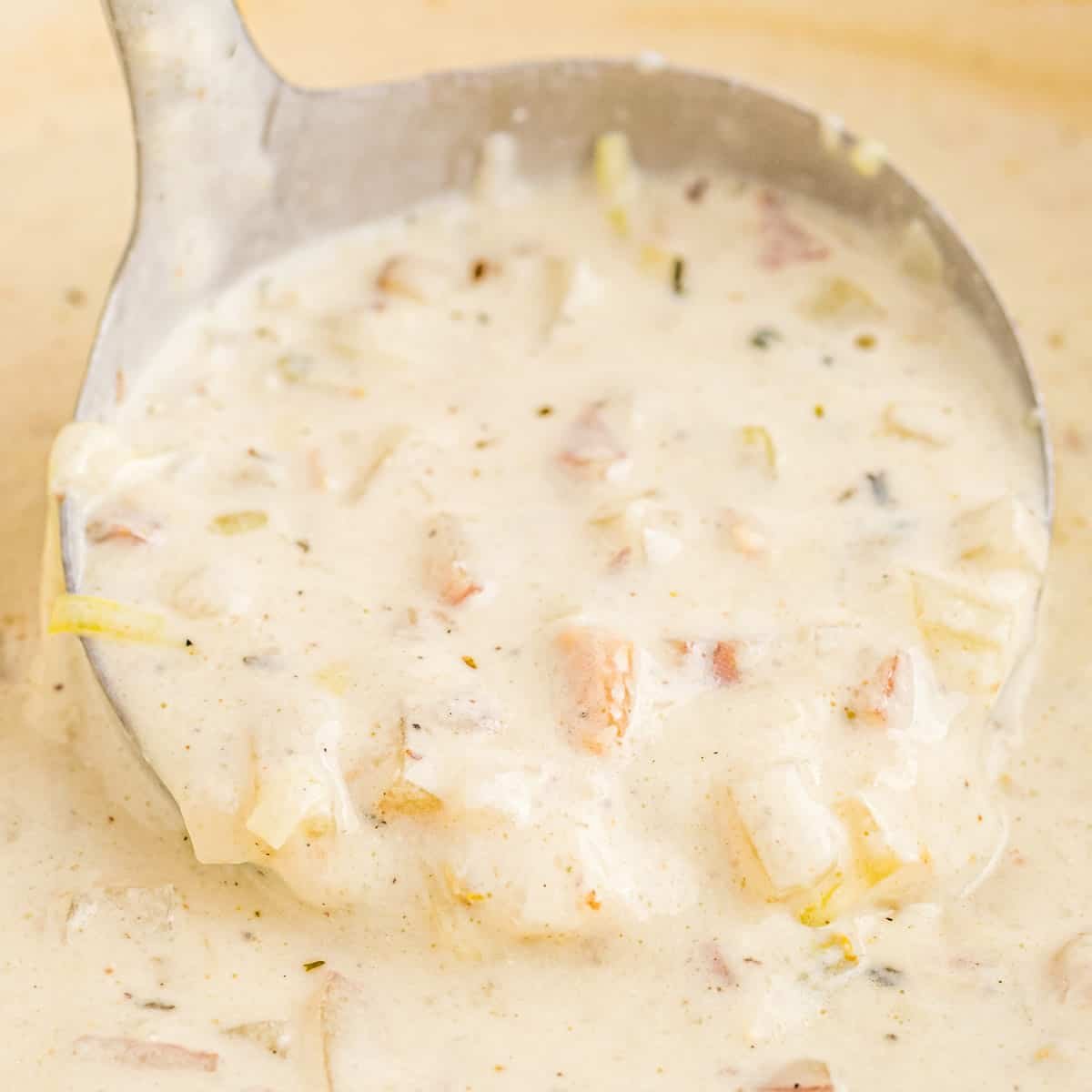 New England Clam Chowder Soup 